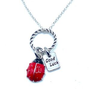 Silver and Red Ladybug Good Luck Charm Necklace